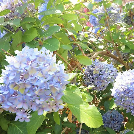 Aria Marina Duplex Vue Route Des Sanguinaires, A 50m, Parking Gratuit, 4 Pers Apartmán Ajaccio (Corsica)